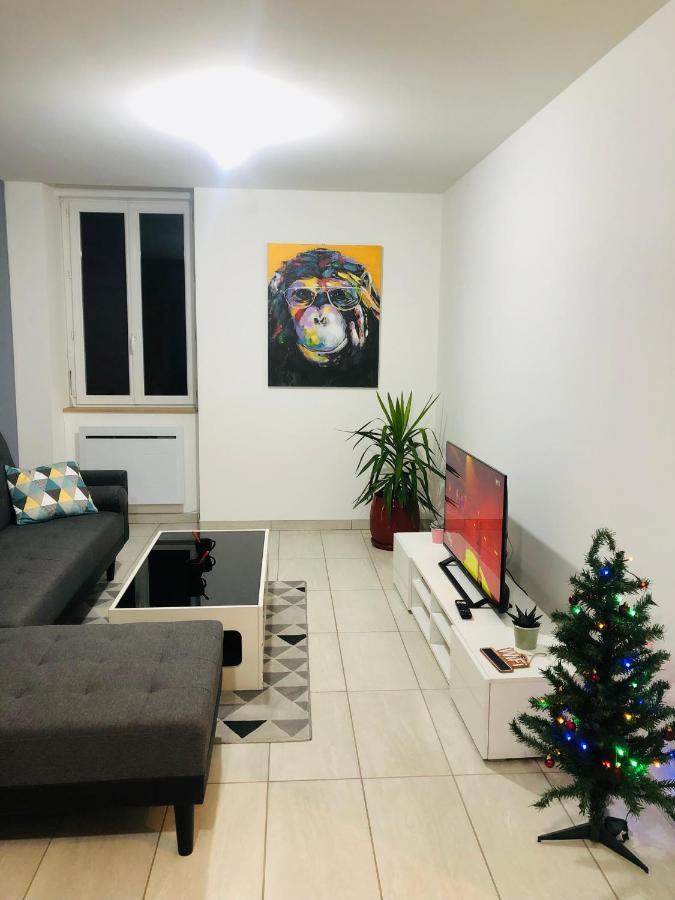 Superbe Appartement Roanne Bagian luar foto