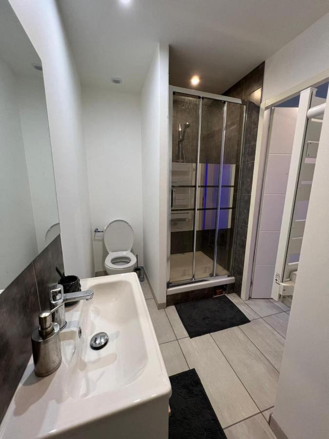 Superbe Appartement Roanne Bagian luar foto